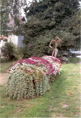 une barque